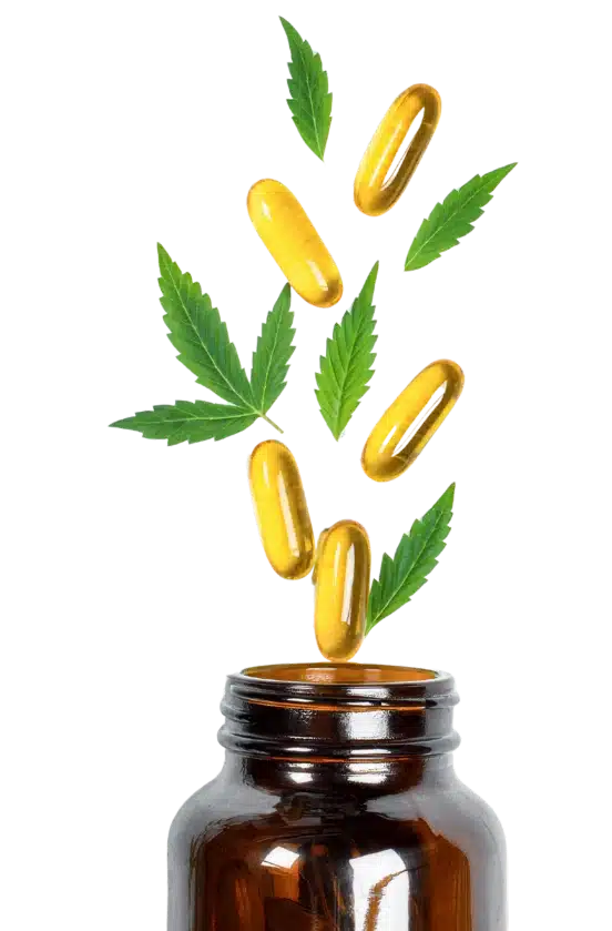 Entre em contato com a Leaf Medical Care